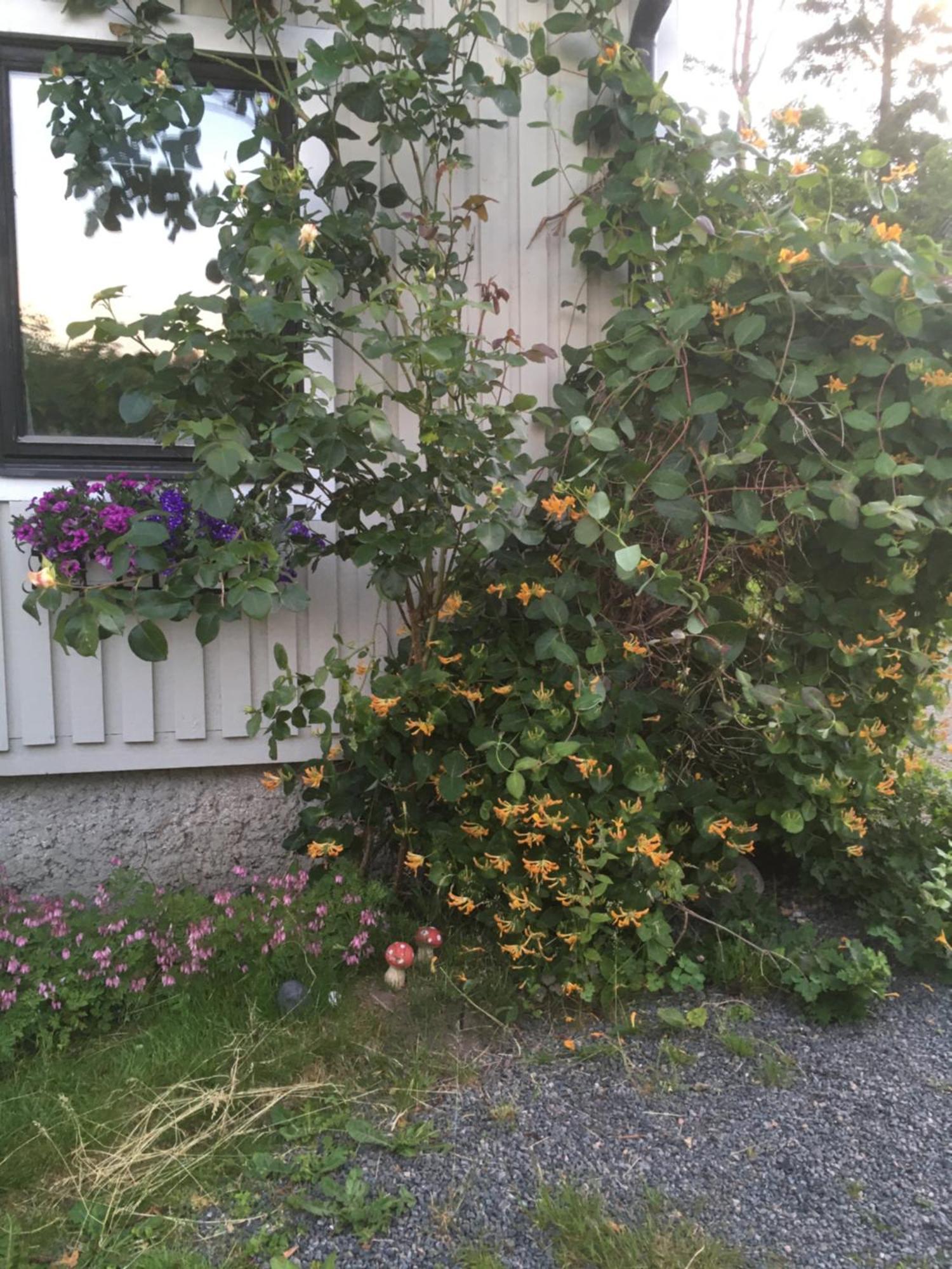 Airbnbekasberg Olofstorp Luaran gambar