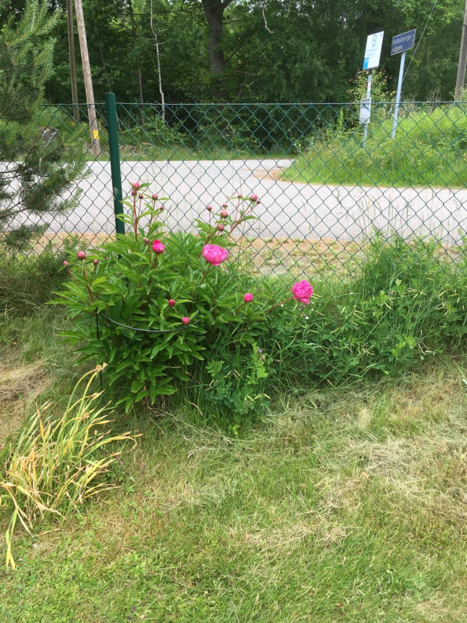 Airbnbekasberg Olofstorp Luaran gambar