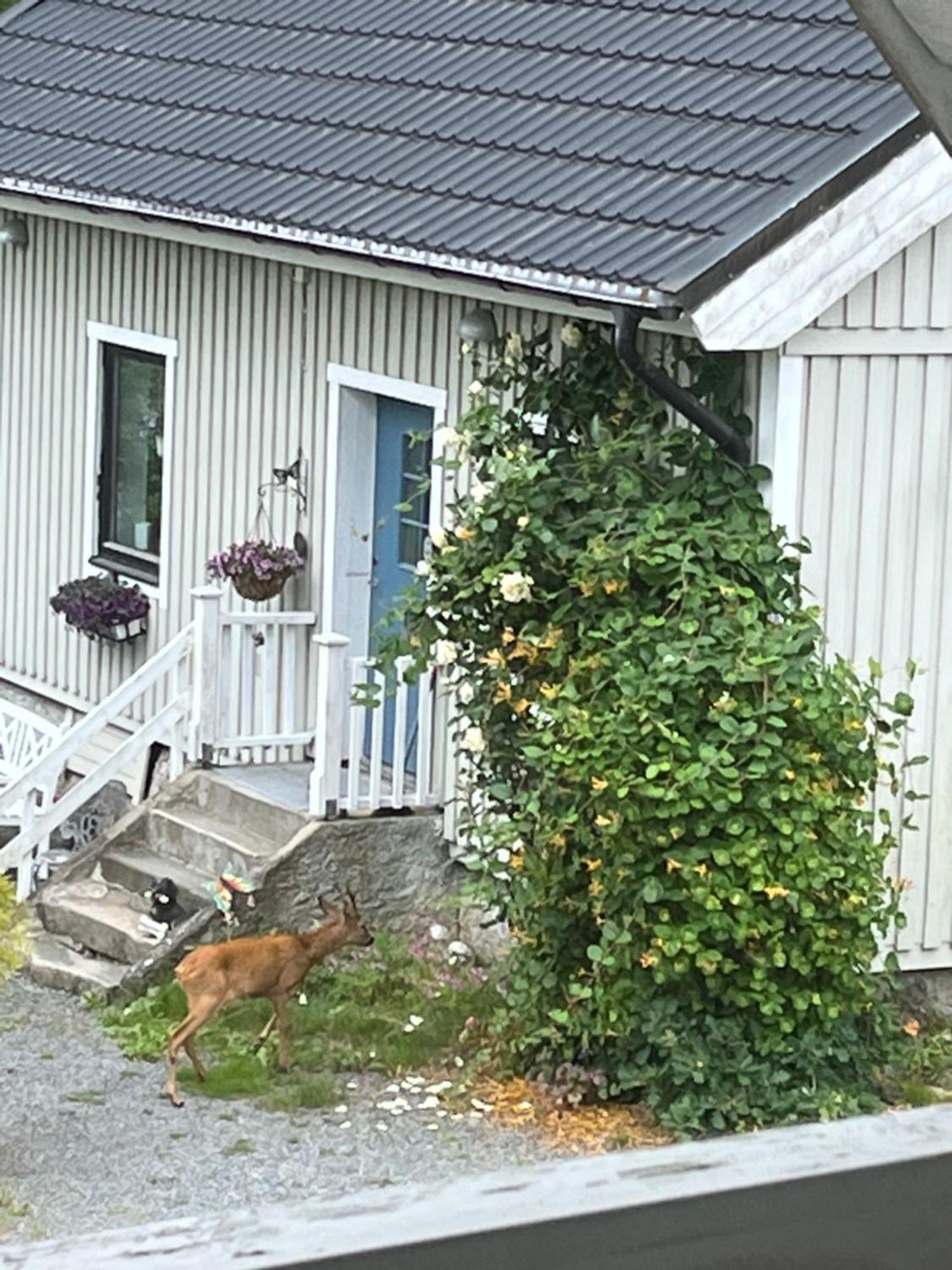 Airbnbekasberg Olofstorp Luaran gambar
